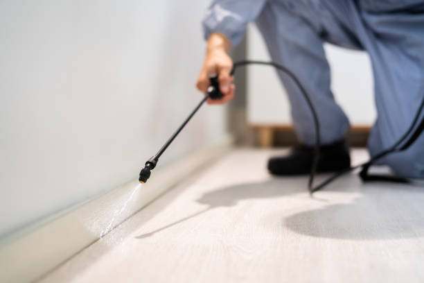 Licensed Pest Control service in Sparta, IL - Show Me Pest Control