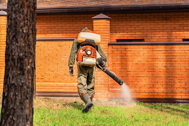 Top rated local Wasp Removal specialists in Sparta, IL